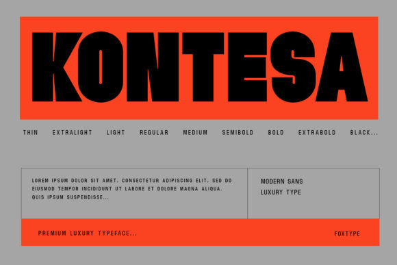 Kontesa: Bold, Adaptable, and Unforgettable