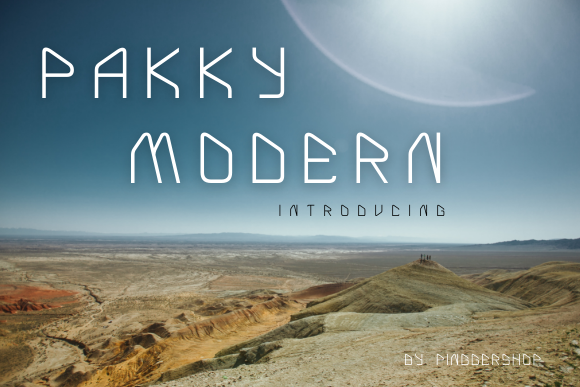 Pakky Modern: A Strategic Choice for Modern Design